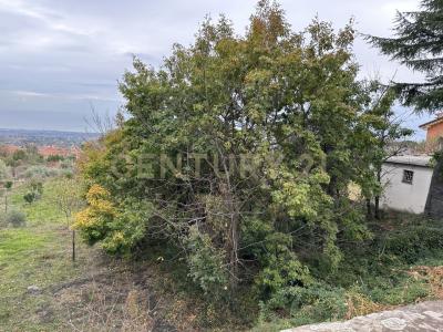 Via Cassone, Zafferana Etnea, Sicilia 95019, Włochy
