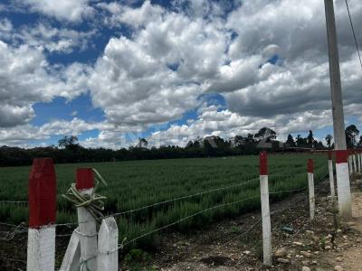 Madrid, Cundinamarca 00001, Colombia