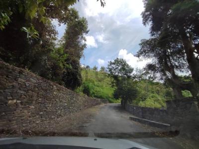 Tiuna 50-FA, San Antonio De Los Altos, Miranda 1204, ベネズエラ