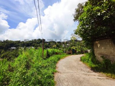 Tiuna 50-FA, San Antonio De Los Altos, Miranda 1204, ベネズエラ