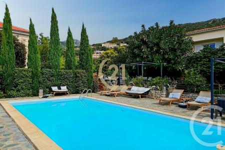 Patrimonio, Corse 20253, Pháp