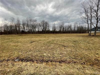 15 & 21 Stone Ridge Drive, Oswego, 紐約州 13126, 美國