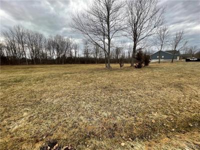 15 & 21 Stone Ridge Drive, Oswego, 紐約州 13126, 美國