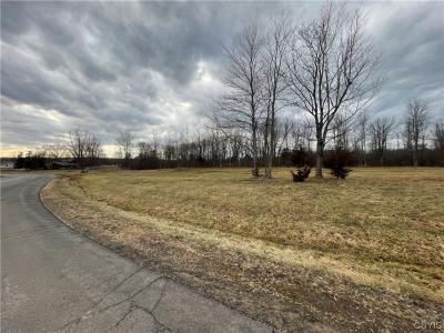 15 & 21 Stone Ridge Drive, Oswego, 紐約州 13126, 美國
