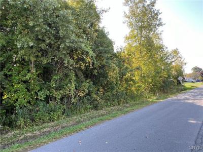 0 (Lot 39) Downey Drive, Oswego, New York 13126