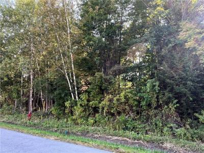 0 (Lot 39) Downey Drive, Oswego, 紐約州 13126, 美國