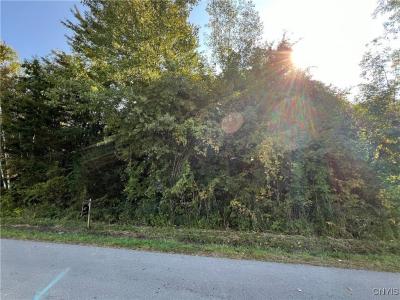 0 (Lot 39) Downey Drive, Oswego, 紐約州 13126, 美國