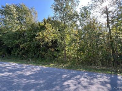 0 (Lot 39) Downey Drive, Oswego, 紐約州 13126, 美國