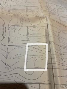 0 (Lot 39) Downey Drive, Oswego, 紐約州 13126, 美國