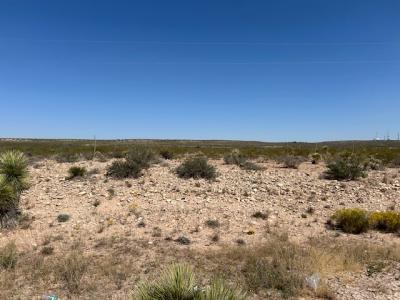 396 Happy Valley North Rural Road, Carlsbad, NM 88220, USA