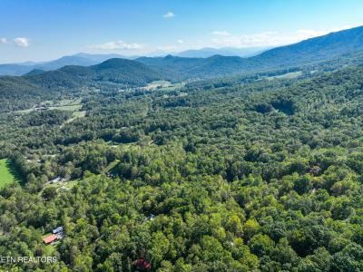 1007 Old Cades Cove Rd, Townsend, Tennessee 37882, Estados Unidos