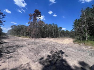 0 Mockingbird Hill, Conroe, Texas 77303, USA