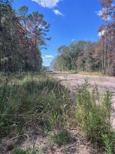 0 Mockingbird Hill, Conroe, Texas 77303, USA