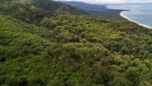 Savegre Quepos, Puntarenas 00001, Costa Rica