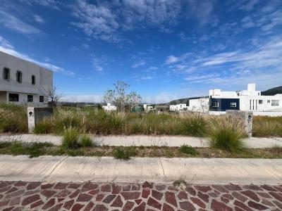Cerrada del Colibrí, Residencial El Encino 5,, Huimilpan, Querétaro 76973, México