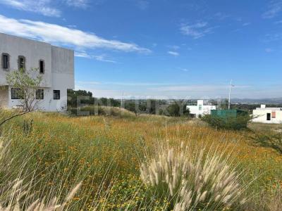 Cerrada del Colibrí, Residencial El Encino 5,, Huimilpan, Querétaro 76973, México