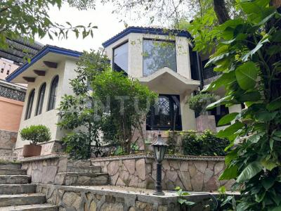 Santiago, 누에보레온 67329, 멕시코