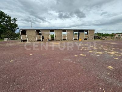 Gomez Orozco s/n,, Abasolo, Guanajuato 36970, Mexique