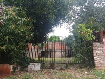 Domingo Martinez de Irala , Lambaré, Central 2006, 巴拉圭