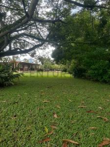 safari safari, Tocuyito, Carabobo 00001, Venezuela