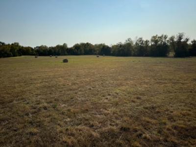 16.20 acres Ash Street, Knoxville, ארקנסו 72845, ארצות הברית של אמריקה
