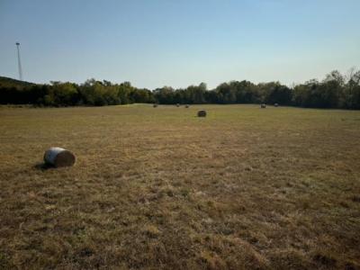 16.20 acres Ash Street, Knoxville, ארקנסו 72845, ארצות הברית של אמריקה