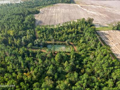Penny Road, Cottondale, Florida 32431, USA