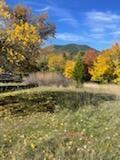 4.75 Acres Frisby Rd, Round Mountain, California 96069
