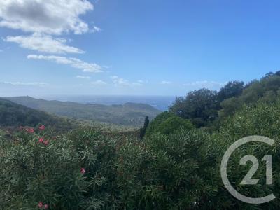 Centuri, Corse 20238, France