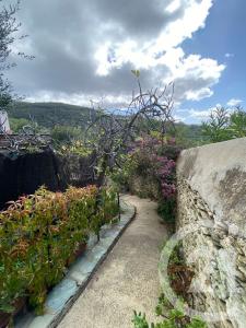 Centuri, Corse 20238, France