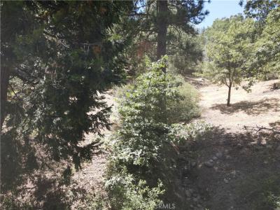 30215 Elfin Court, Running Springs, קליפורניה 92382, ארצות הברית של אמריקה 