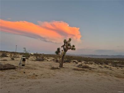 63737 Gibson Rd, Joshua Tree, California 92252, USA