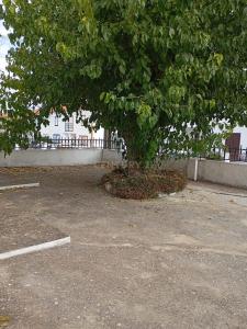 Reguengos De Monsaraz, Evora 7200-323, Portekiz