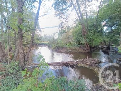 Chassignolles, Центр — Долина Луары 36400, Франция