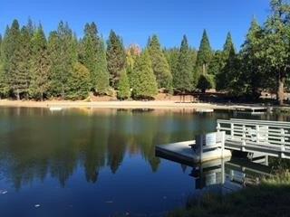 1708 Bear Clover Court, Arnold, Californie 95223, États-Unis