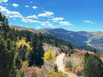 Braffits Creek Lot 9, Summit, Utah 84772, USA