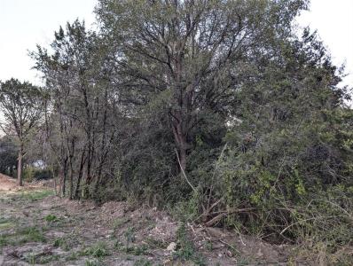 914 Indian Creek Drive, Granbury, Texas 76048, Estados Unidos