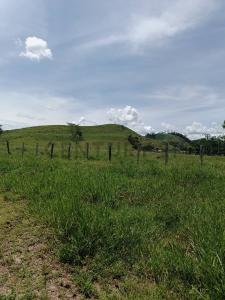 San Rafael del Piñal, Táchira 5001, Venezuela