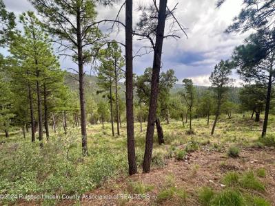 732 Center Street, Ruidoso, New Mexico 88345