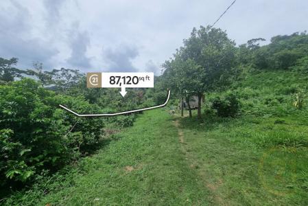 Plains Agriculture Land, PLAINS, St.Patrick West Indies, Granada