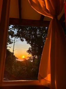 Hone Creek Cahuita Talamanca, Limón 70403, 哥斯達尼加