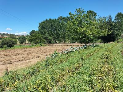 Vizela, Braga 4620-000, Portogallo