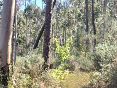 Felgueiras, Porto 4620-288, Portugal