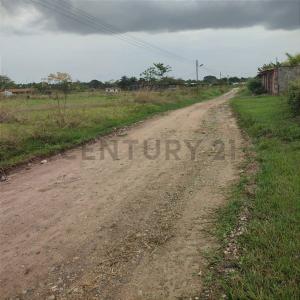 La Caramuca Laguna Vieja, Peaje, Barinas, Barinas 5201, Venezuela