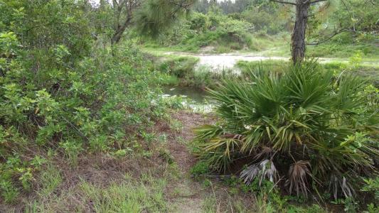 1508 Washington Avenue, Lehigh Acres, Florida 33972, USA