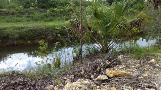 1508 Washington Avenue, Lehigh Acres, Florida 33972, USA