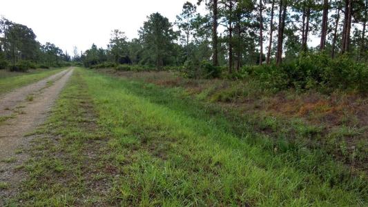 1508 Washington Avenue, Lehigh Acres, Florida 33972, USA