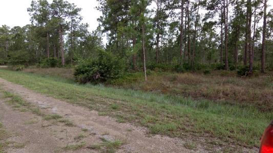 1508 Washington Avenue, Lehigh Acres, Florida 33972, USA