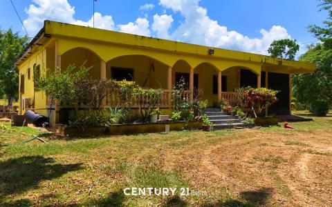36 Mile George Price Highway, St Matthew's Village , Belmopan, Cayo 501, Belize