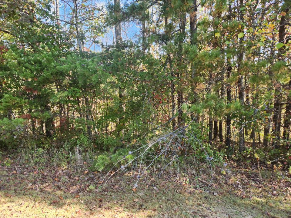 000 Kiser Fork Road, Olive Hill, Kentucky 41164, Estados Unidos